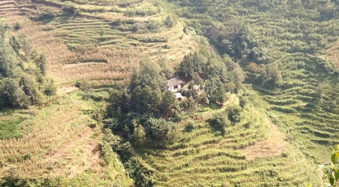 大山里的“家”(官網(wǎng)).jpg